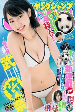 天火传说全集高清