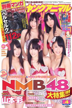 甄嬛传 免费观看完整版
