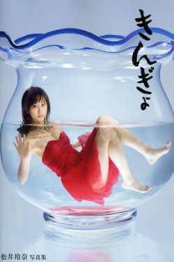 电视剧万水千山总是情