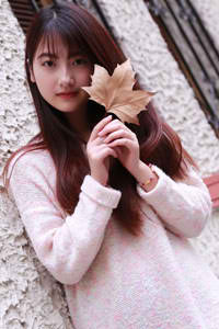 辛巴狮子王2